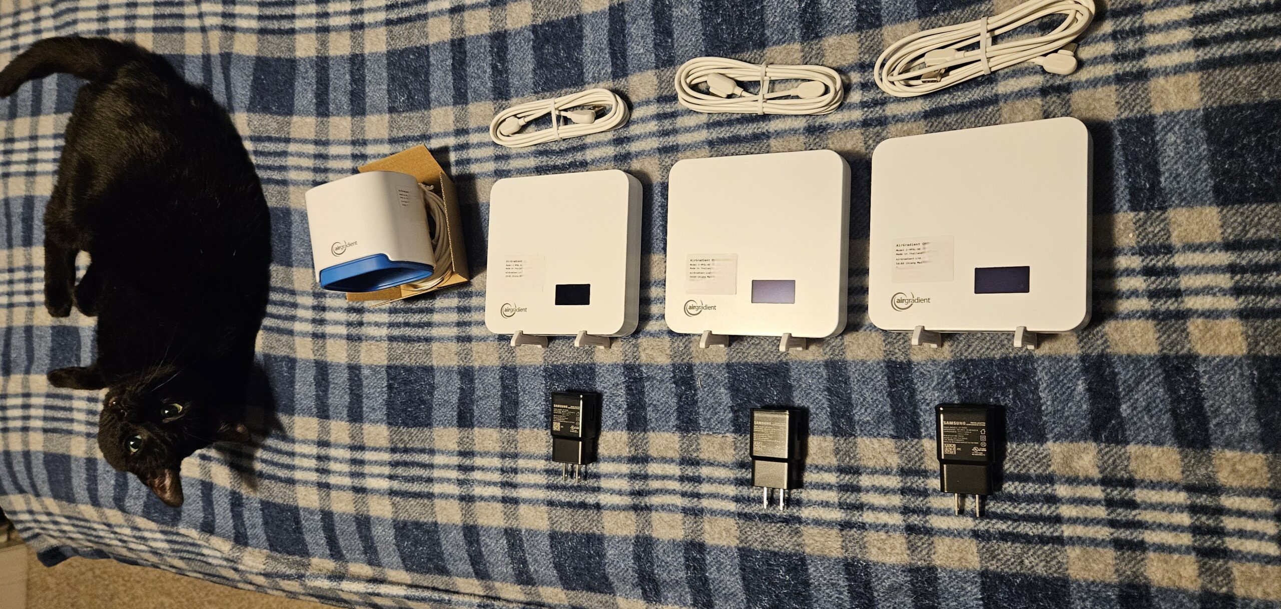 AirGradient Monitors with Kitty